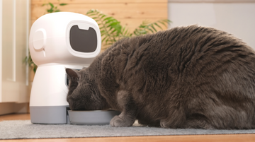 How Smart Pet Feeders Can Improve Your Pet’s Diet