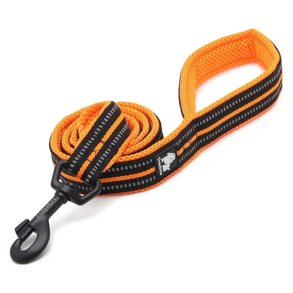 Padded Reflective Walking Leash